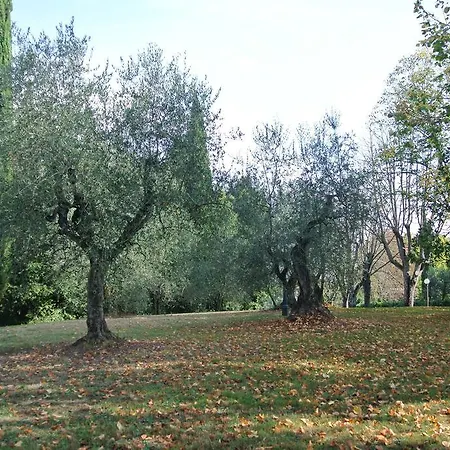 Charme Siena