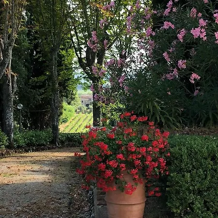Charme Siena